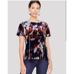 Ann Taylor Botanical Velvet Tee Split Back Whimsy Goth Floral Top Medium Petite
